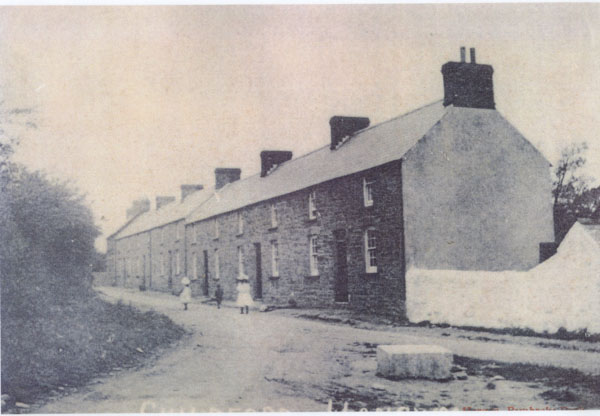 Copy of a photograph of Williamston Terrace showing the block where the pigs were killed and was also used as a mounting block for the donkeys. The Evans family lived in the second house from the left � there were five daughters including Annie. One of the children in the photograph is believed to be Annie Palmer (nee Morgan)